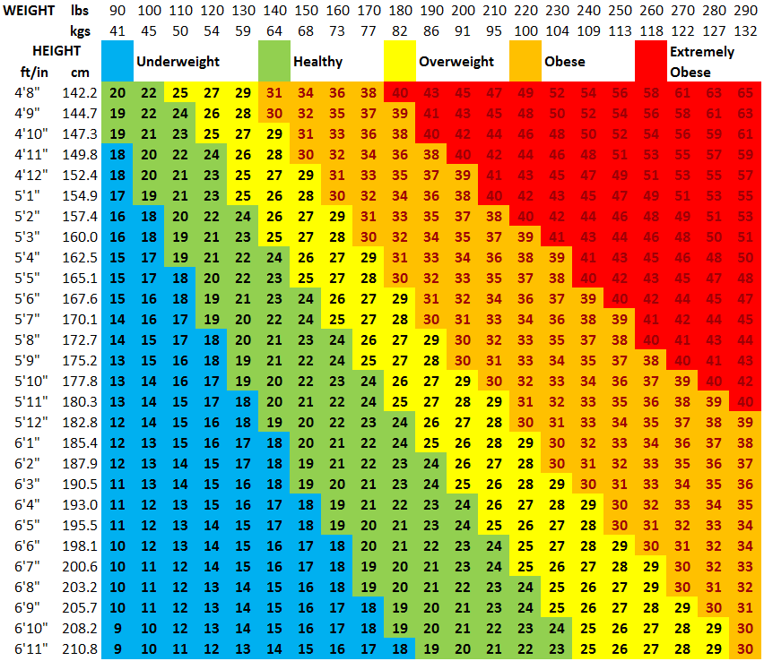 bmi calculator with measurements