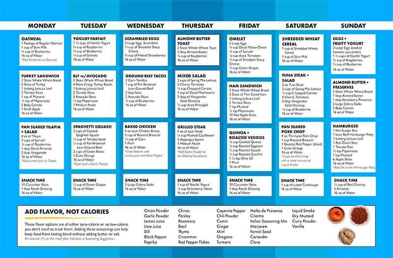 Download Our Bariatric Diet Meal Plan Template for Weight Loss